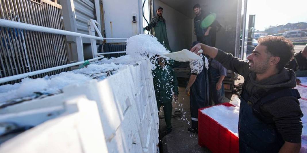 İşçi sorunu denizleri de vurdu! 80.000 TL’ye yine de çalışmıyorlar: Futbolcu misali transfer oluyorlar 5